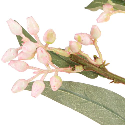 Artículo Ramas artificiales de eucalipto con hojas y brotes, 75 cm, 2 unidades