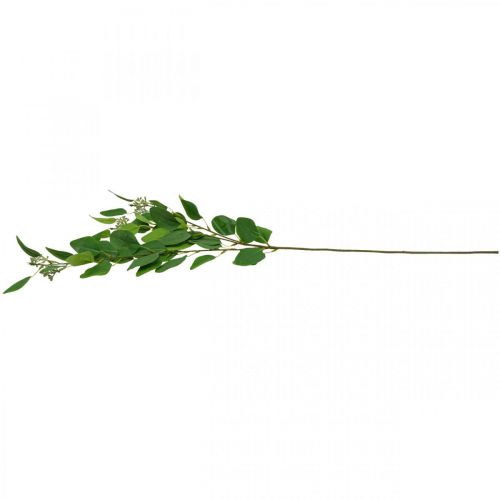 Artículo Rama de eucalipto artificial verde triple rama L100cm