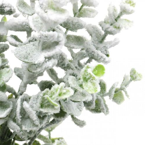 Artículo Rama de eucalipto artificial rama deco nevada eucalipto Navidad 48cm