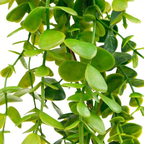 Floristik24 Decoración boda guirnalda eucalipto verde artificial 122cm