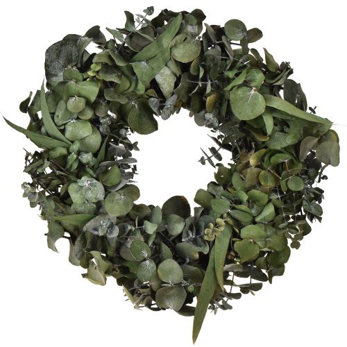 Artículo Corona de eucalipto corona natural eucalipto preservado Ø35cm