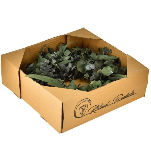 Artículo Corona de eucalipto corona natural eucalipto preservado Ø35cm