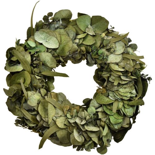 Floristik24 Corona de eucalipto corona natural eucalipto preservado Ø35cm