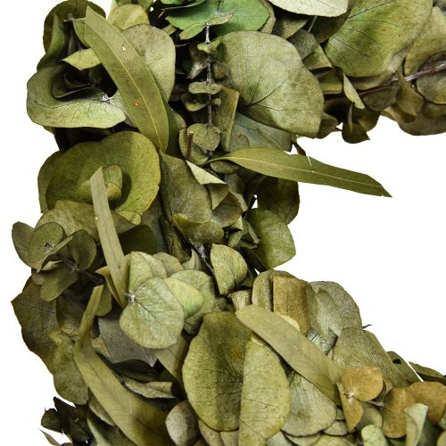 Floristik24 Corona de eucalipto corona natural eucalipto preservado Ø35cm