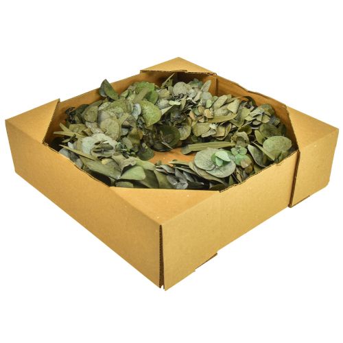 Floristik24 Corona de eucalipto corona natural eucalipto preservado Ø35cm