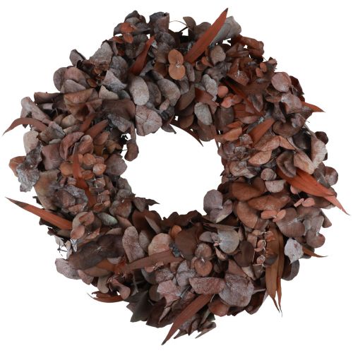 Floristik24 Corona de eucalipto natural corona eucalipto preservado rojo Ø33cm