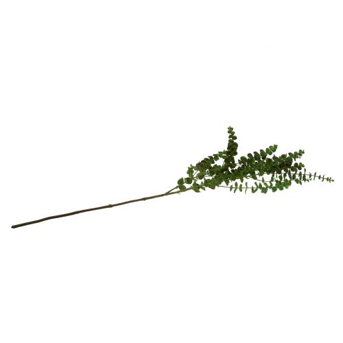 Artículo Rama de eucalipto verde 130cm