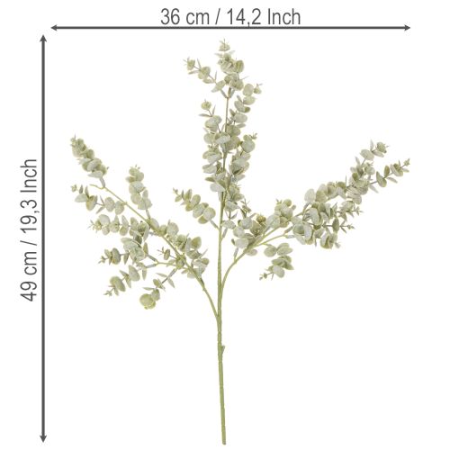 Rama de eucalipto artificial, rama decorativa para jarrones y ramos, 49 cm, 4 unidades. | Floristik24.es