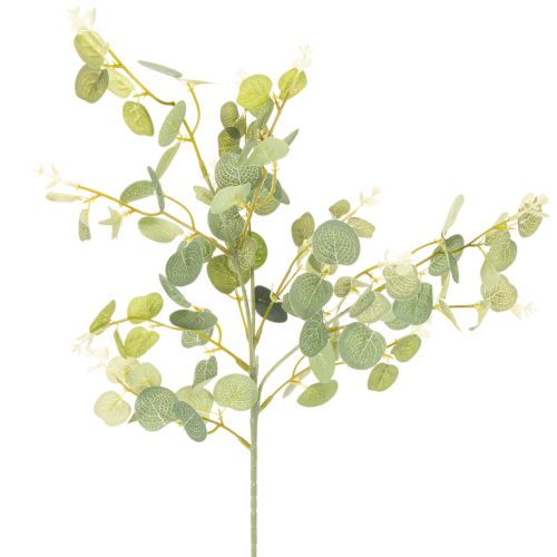 Rama artificial de eucalipto con hojas redondas, 75 cm, 4 piezas comprar | Floristik24.es