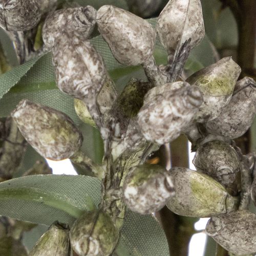 Decoración con ramas de eucalipto artificial, arreglo de ramas, 3 piezas | Floristik24.es