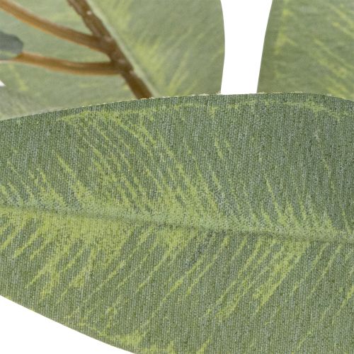 Rama artificial de eucalipto, verde natural, decorativa, 100 cm. | Floristik24.es