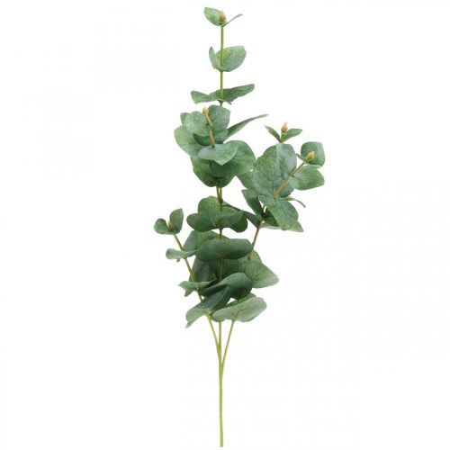 Floristik24 Rama de eucalipto Planta verde artificial Eucalyptus Deco 75cm