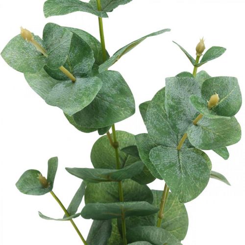 Floristik24 Rama de eucalipto Planta verde artificial Eucalyptus Deco 75cm