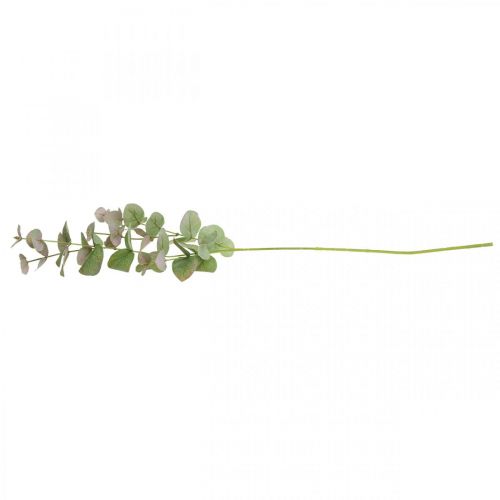 Floristik24 Rama de eucalipto artificial deco verde planta verde, rosa 75cm