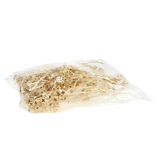 Artículo Rama Eucalipto Blanqueada 25uds