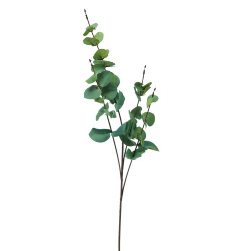Floristik24 Rama de eucalipto eucalipto artificial verde 64cm