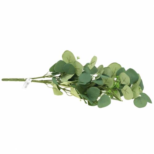 Floristik24 Rama de eucalipto 52cm