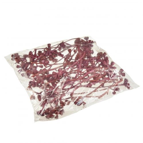 Artículo Ramas de eucalipto rojo esmerilado decoración natural exóticas 25 piezas