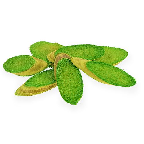 Floristik24 Discos decorativos de madera primavera verde 300g