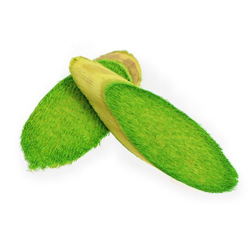 Floristik24 Discos decorativos de madera primavera verde 300g