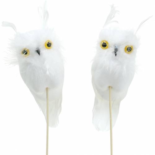 Floristik24 Decoración del ramo Owl White 10cm 2 piezas