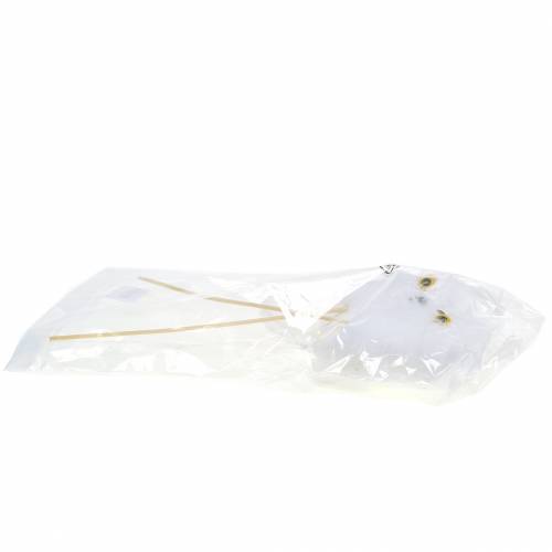 Floristik24 Plug decorativo búho blanco 10cm 2uds