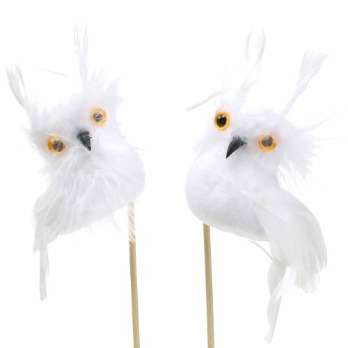 Floristik24 Deco enchufe Owl White 5cm 4pcs