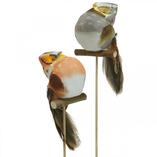 Artículo Búho deco, decoración floral, búho con plumas H5.5cm 6pcs
