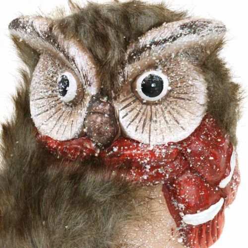 Floristik24 Búho decorativo de cerámica con bufanda Figuras decorativas Invierno H15cm 2 piezas