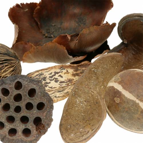 Floristik24 Surtido exótico naturaleza en la red 200g