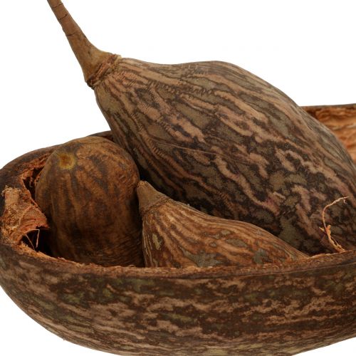 Floristik24 Mezcla de frutas de baobab con cáscara 300g