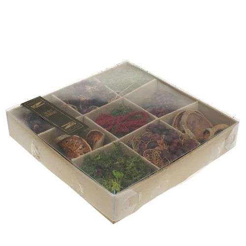 Floristik24 Conjunto de artesanía de mezcla exótica