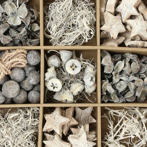 Floristik24 Mezcla exótica blanco lavado