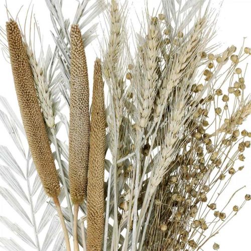 Floristik24 Flores secas DIY Box Exotic Dry Bouquet Blanco, Natural H55cm