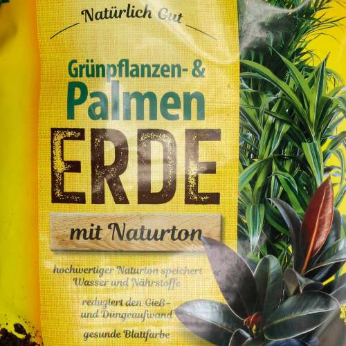 Floristik24 FRUX tierra verde planta y palma 18l