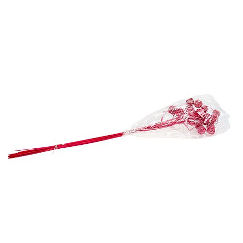 Floristik24 Fancy Ting Ting rosa 25uds