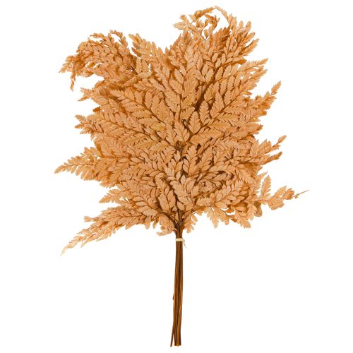 Artículo Decoración de helechos Hojas de helecho reales preservadas de color naranja 45 cm 10 piezas