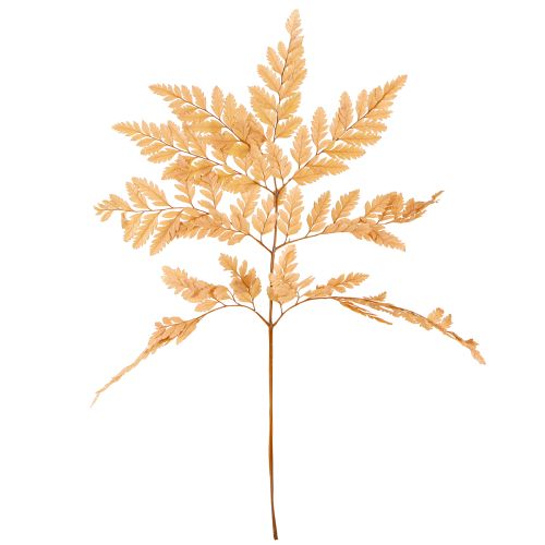Artículo Decoración de helechos Hojas de helecho reales preservadas de color naranja 45 cm 10 piezas