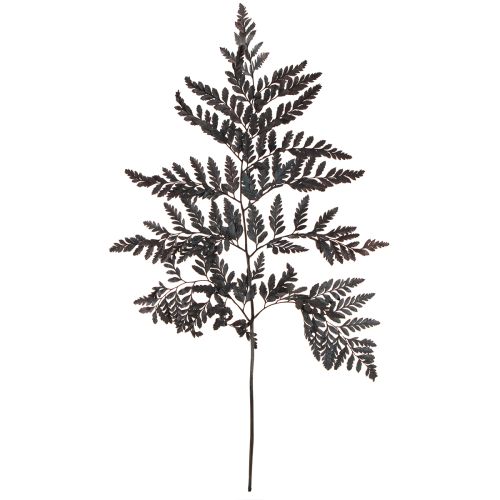 Artículo Decoración de helechos Hojas de helecho reales preservadas en negro 45 cm 10 piezas