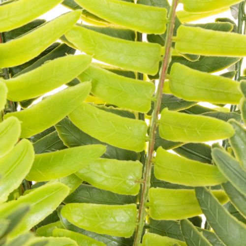 Rama de helecho artificial, planta verde artificial para decoración, 45 cm | Floristik24.es