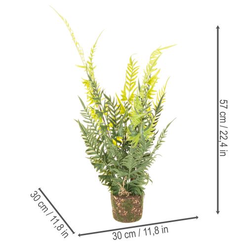 Helecho artificial con cepellón para decoración del hogar y la oficina, 57 cm. | Floristik24.es
