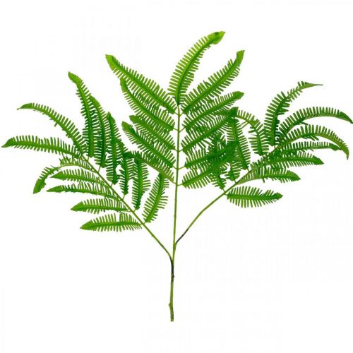 Floristik24 Hojas de helecho verde, helecho 3 hojas en rama, algodoncillo L96cm