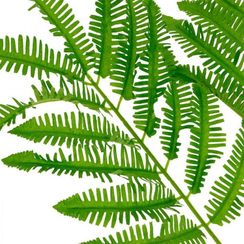 Artículo Hojas de helecho verde, helecho 3 hojas en rama, algodoncillo L96cm