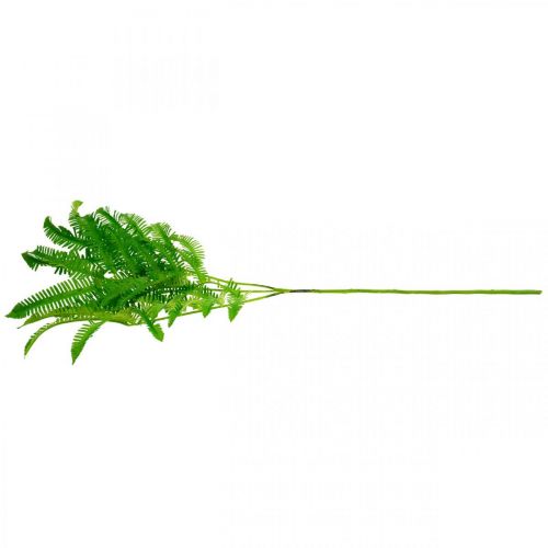 Floristik24 Hojas de helecho verde, helecho 3 hojas en rama, algodoncillo L96cm
