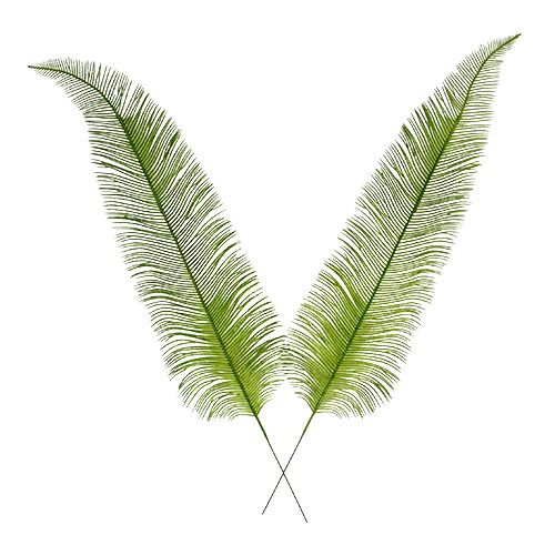 Floristik24 Helecho deja verde 59cm 6pcs