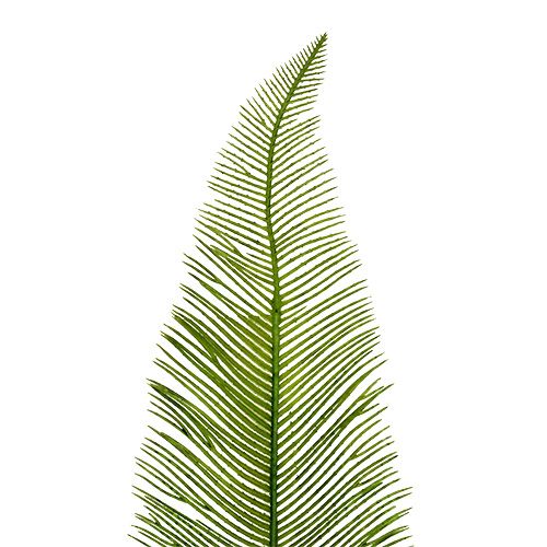 Floristik24 Helecho deja verde 59cm 6pcs