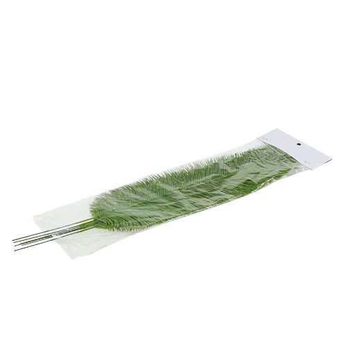 Floristik24 Helecho deja verde 59cm 6pcs