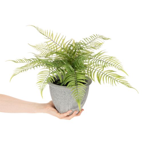 Helecho artificial en maceta para salón y oficina, 35 cm. | Floristik24.es