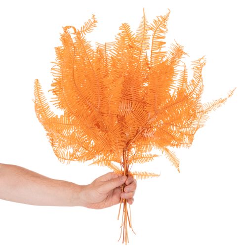 Rama de helecho, helecho preservado, decoración seca para arreglos florales, 60 cm, 10 unidades | Floristik24.es