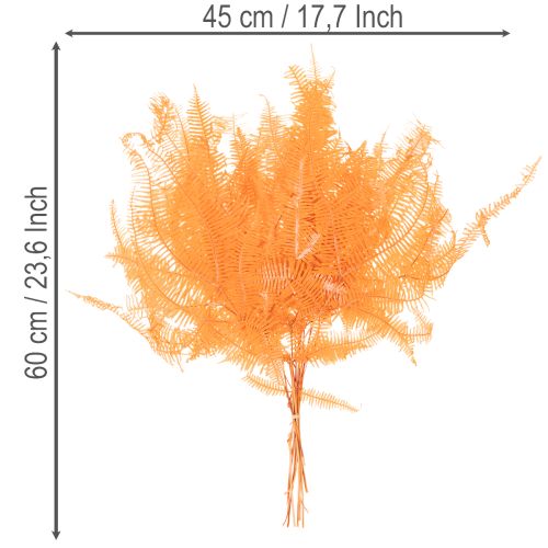 Rama de helecho, helecho preservado, decoración seca para arreglos florales, 60 cm, 10 unidades | Floristik24.es